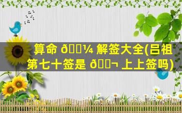 算命 🐼 解签大全(吕祖第七十签是 🐬 上上签吗)